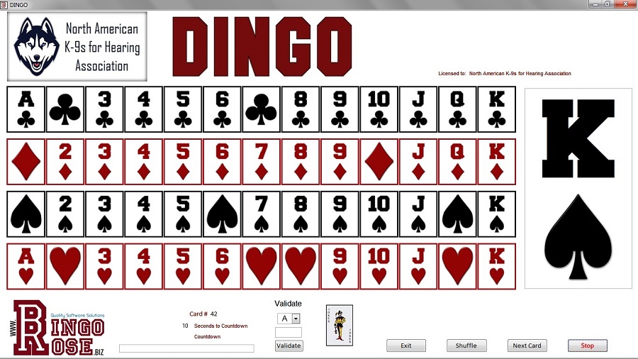 DINGO main screen cards